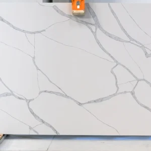 Calacatta Elegant Marble Body