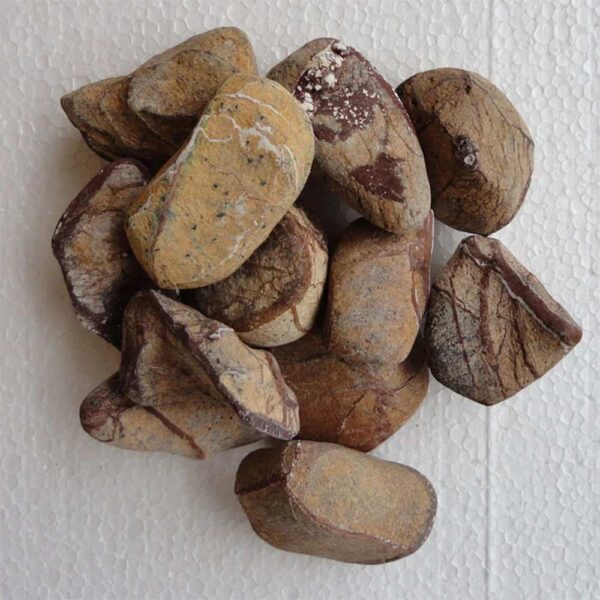 FOREST BROWN PEBBLES STONES