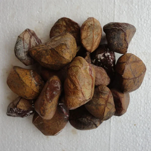 FOREST BROWN PEBBLES STONES