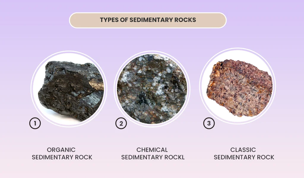 Types of sedimentary rocks